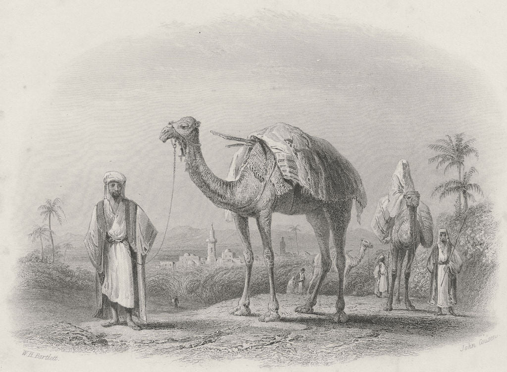 ISRAEL. Scene near Ramla-Bartlett 1847 old antique vintage print picture